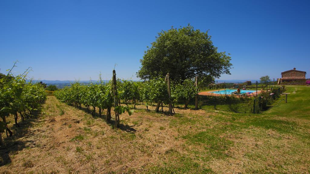 Terontola Tenuta Angelici Winery Casa Contea With Pool And Panoramic Pool Cortonaヴィラ 部屋 写真