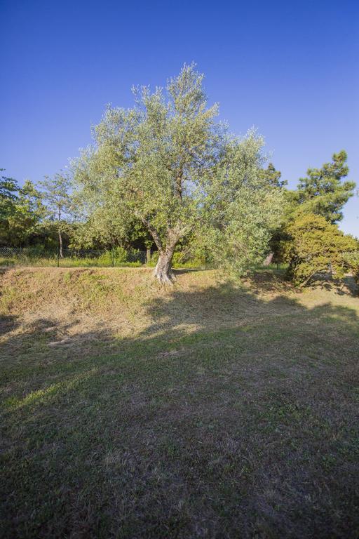 Terontola Tenuta Angelici Winery Casa Contea With Pool And Panoramic Pool Cortonaヴィラ 部屋 写真